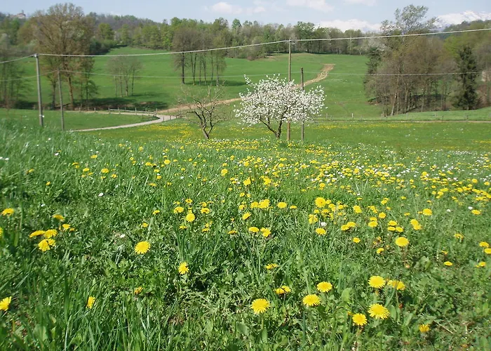Frühstückspension La Pepanella 3*